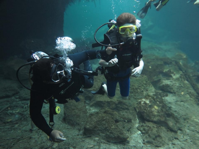 Fotografia submarina